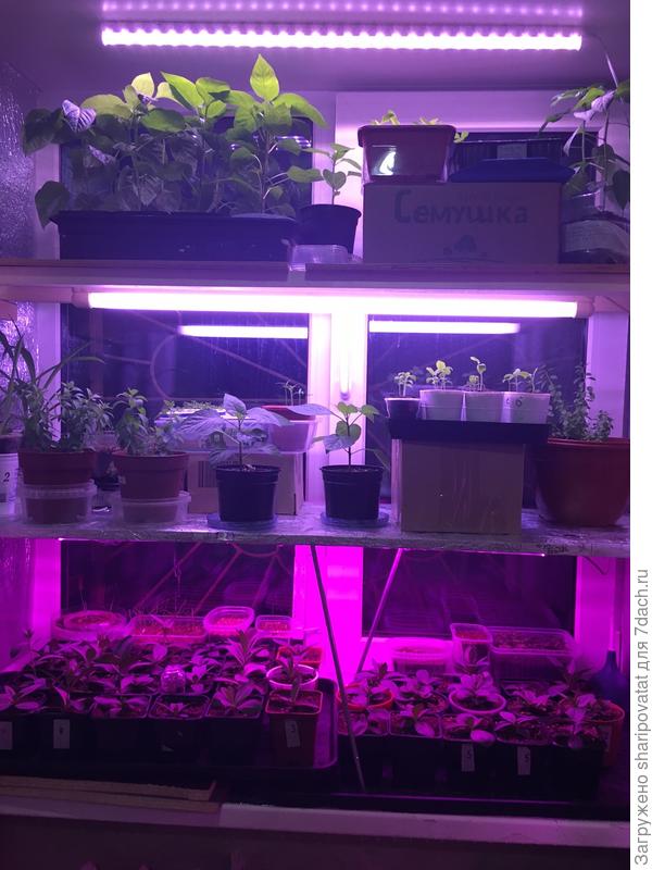 Вечерний вариант, т. к. у нас уже темень за окном