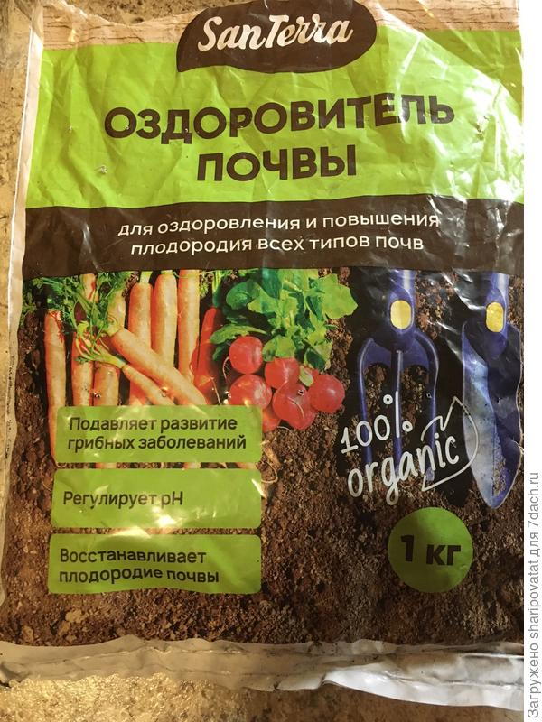 Бюджетный чудо-оздоровитель