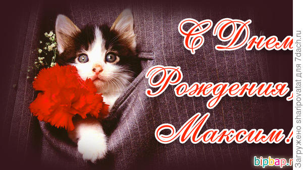 Пусть верные друзья всегда будут рядом!