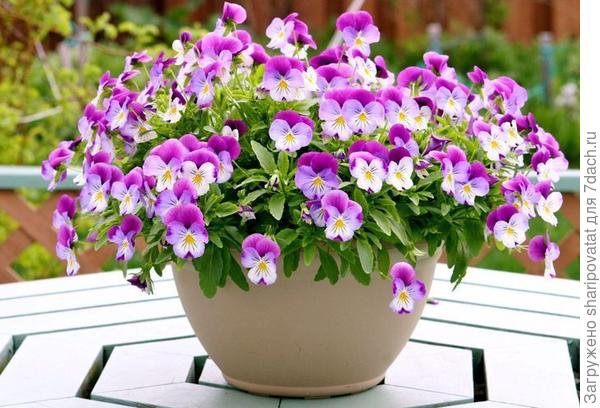 П о з д р а в л я ю!