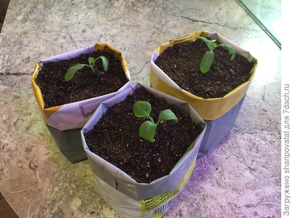 Можно осваивать новую площадь