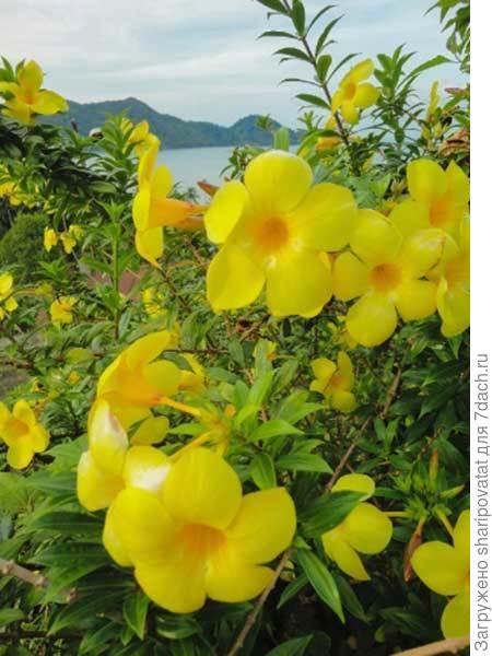 П о з д р а в л я ю!