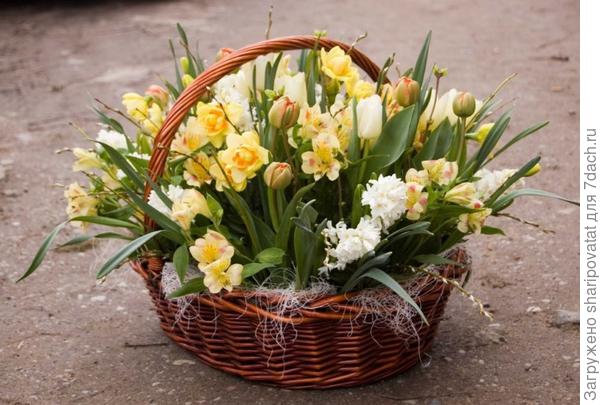 Поздравляю!