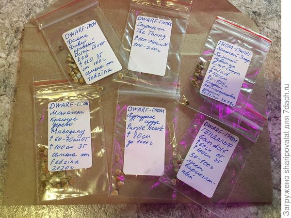 Семена от Юли, посеянные 29.03.23