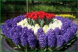 П о з д р а в л я ю!