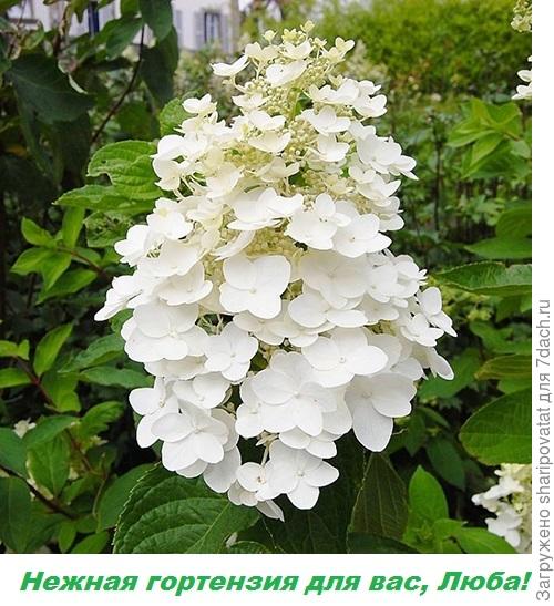 П о з д р а в л я ю!