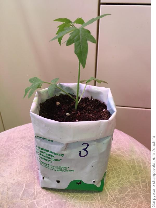 "Апгрейд" стаканчиков