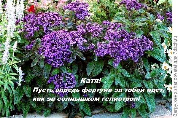 П о з д р а в л я ю!