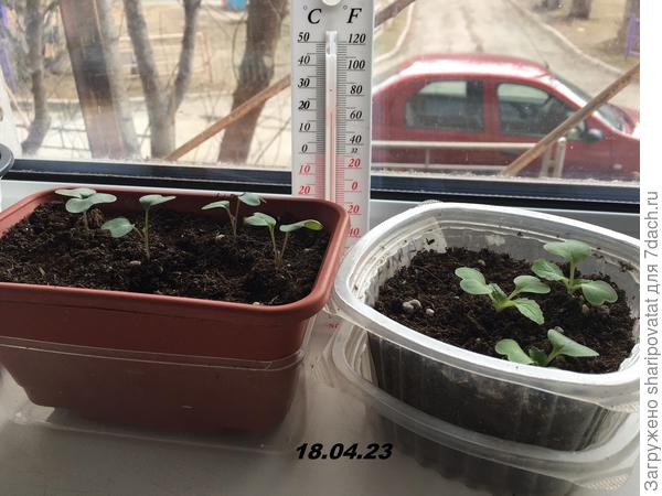 Место на подоконнике