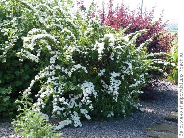 И на душе всегда будет весна!