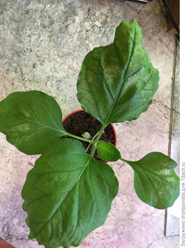 Новые проблемы