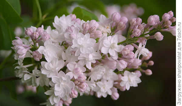 П о з д р а в л я ю!