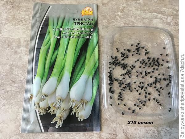 Семена на тестирование