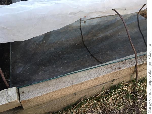 Создание комфортного микроклимата для прорастания семян лука