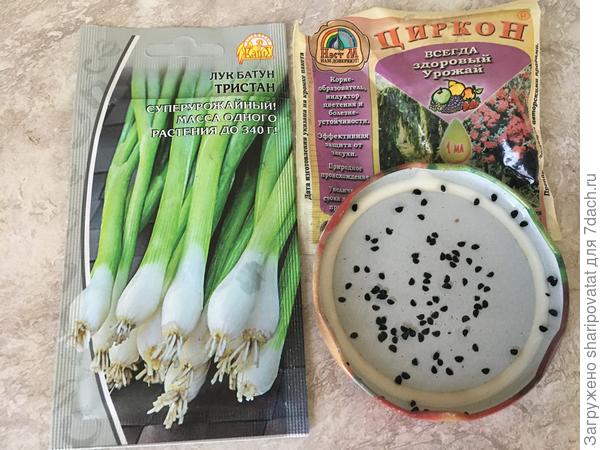 Замачивание семян лука в воде с добавлением циркона на полчаса.