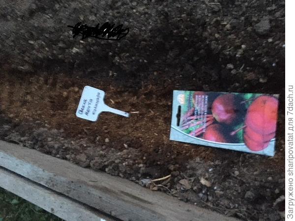 Посев завершен. Осталось только пленкой накрыть.