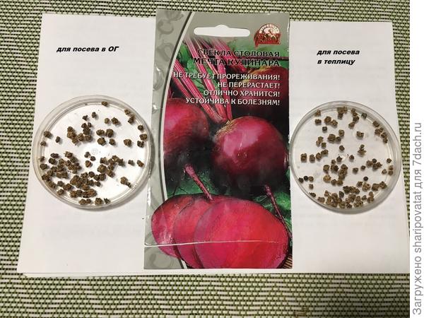 Семена свеклы "Мечта кулинара" для двух вариантов тестирования