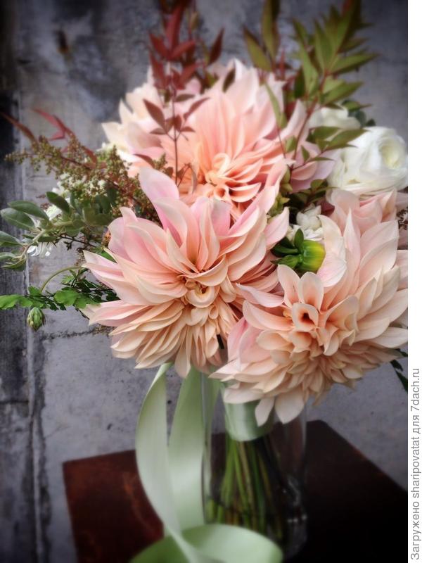 П о з д р а в л я ю!