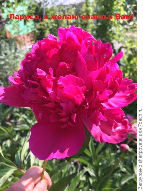 П о з д р а в л я ю!