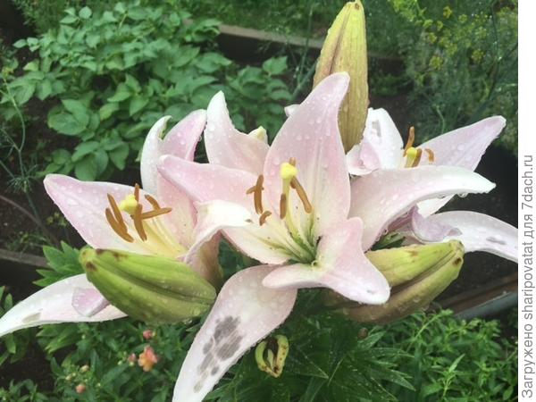 П о з д р а в л я ю!