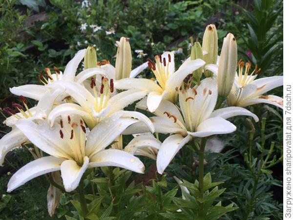 П о з д р а в л я ю!