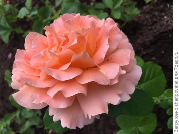 П о з д р а в л я ю!