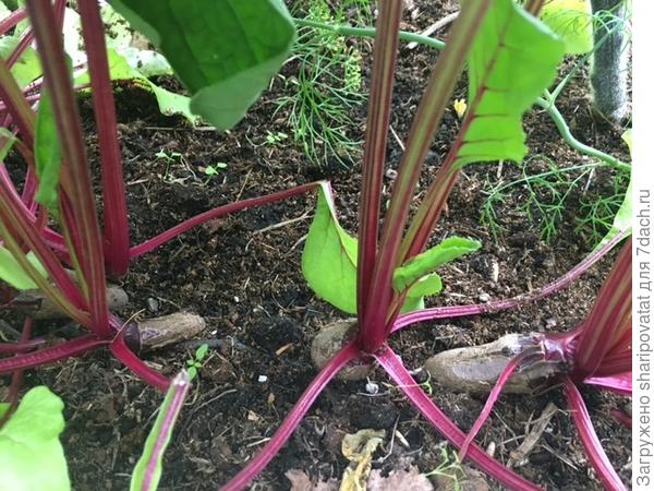 Из любой сложной ситуации можно найти выход