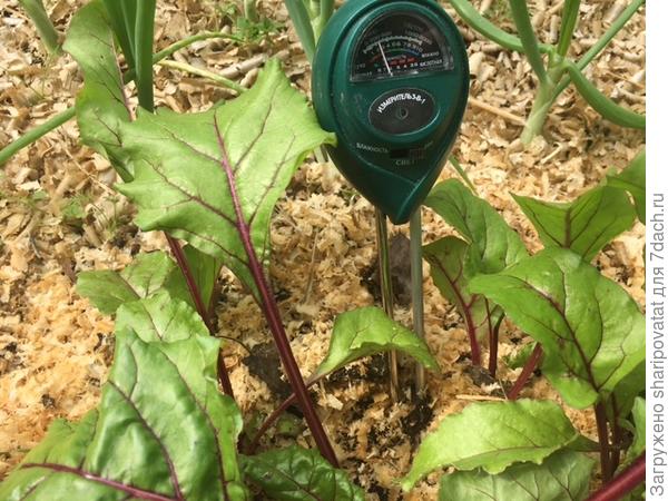 pH близкая к 6