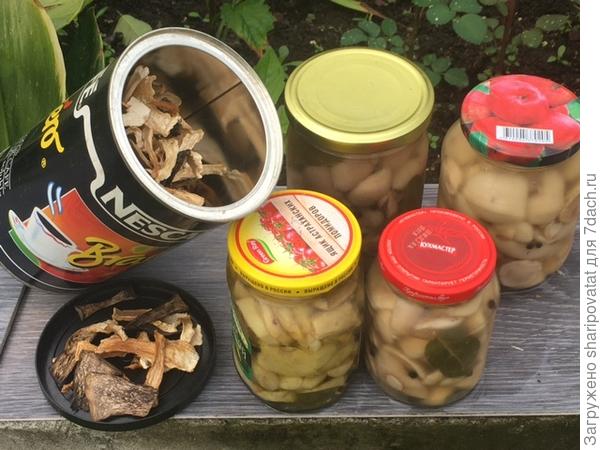 "Пролонгированные" воспоминания в грибных заготовках.