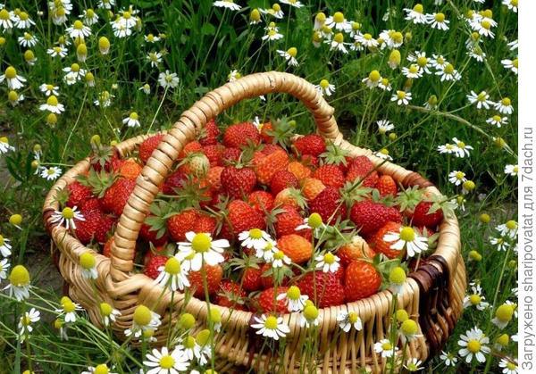 П о з д р а в л я ю!