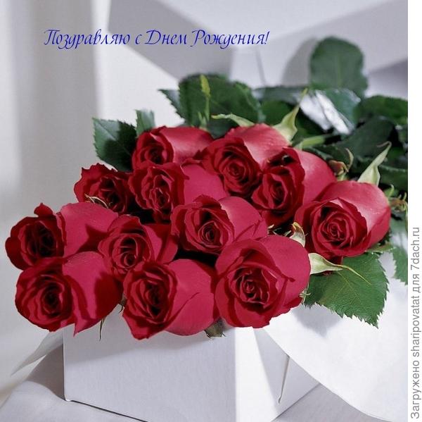 Всего Вам доброго и светлого!