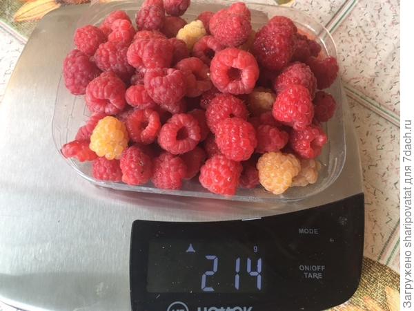 Припозднившаяся малина