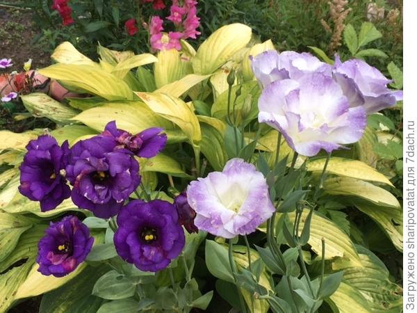 П о з д р а в л я ю!