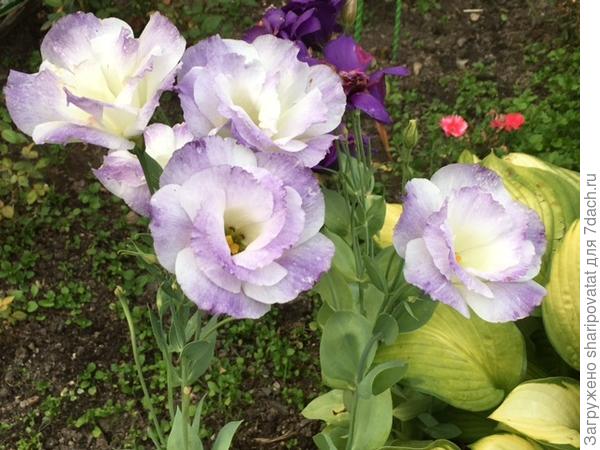 П о з д р а в л я ю!