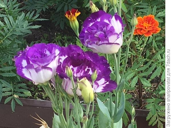 П о з д р а в л я ю!