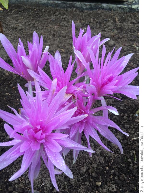 П о з д р а в л я ю!