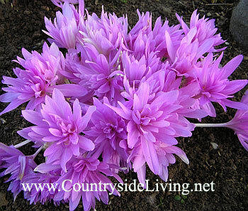 П о з д р а в л я ю!