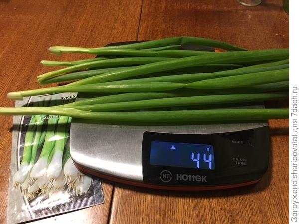 Урожай первого года