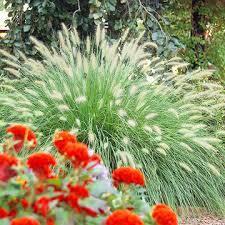 П о з д р а в л я ю!