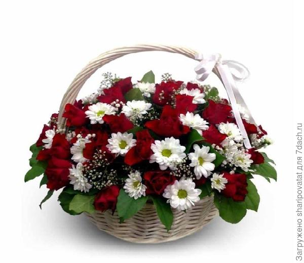 П о з д р а в л я ю!