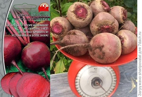 Скромный приятный урожай