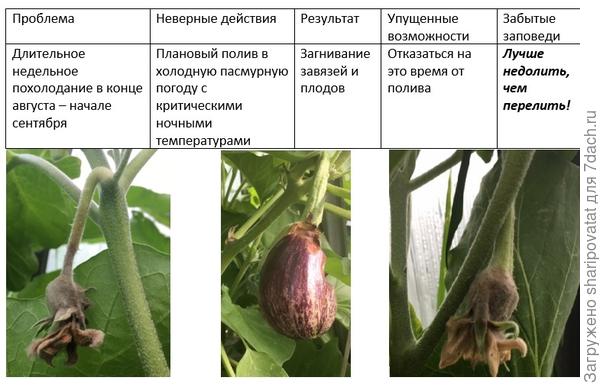 Фатальная ошибка