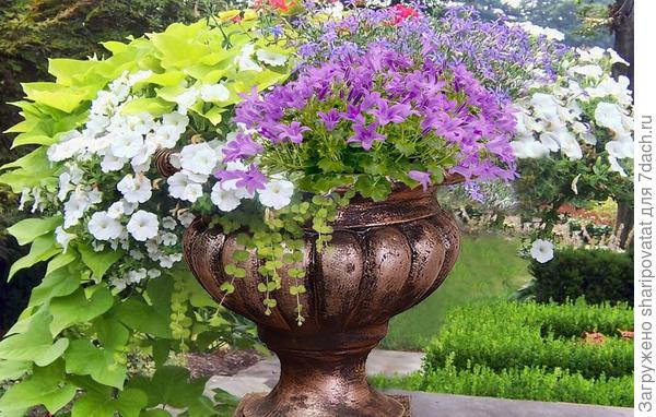 П о з д р а в л я ю!