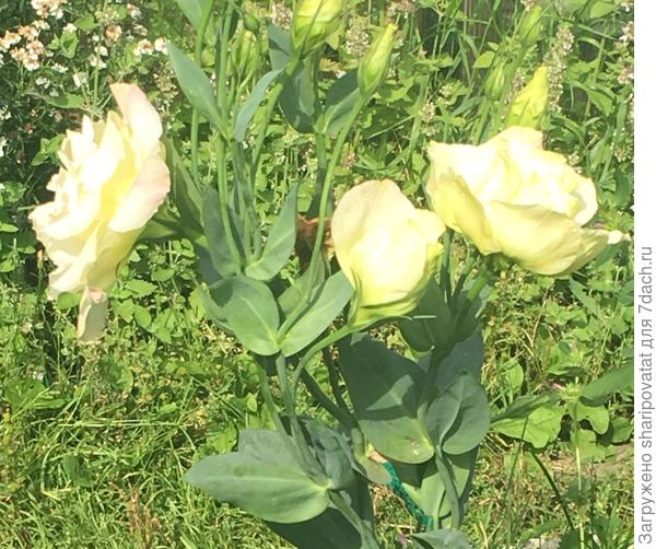 П о з д р а в л я ю!