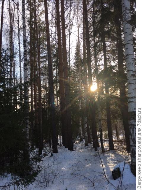 Низкое солнце после после 15 часов