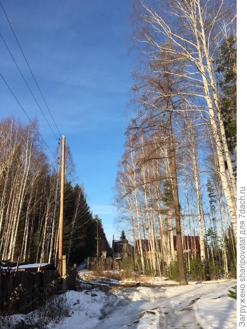 Картина скорее конца зимы, чем начала