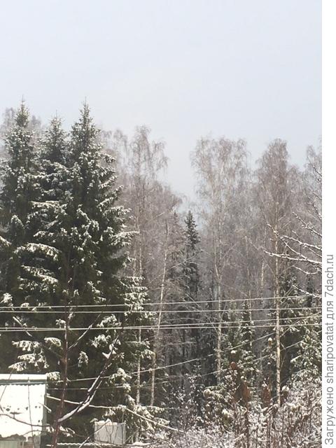 На этот раз зима взяла в союзники небо, уже по-зимнему тяжелое и хмурое