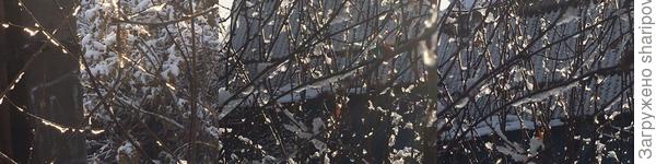 Деревья засверкали нитями нарядных бус.