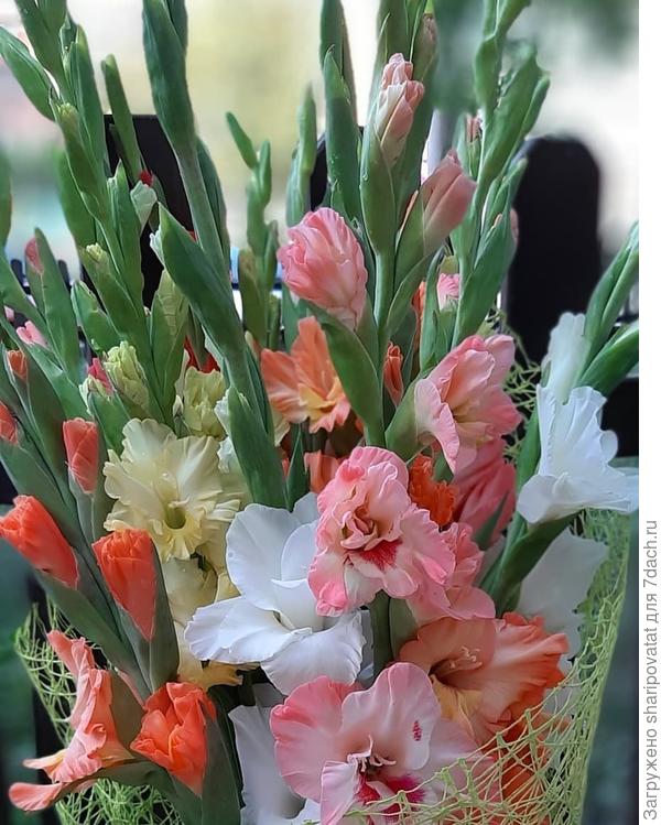 П о з д р а в л я ю!