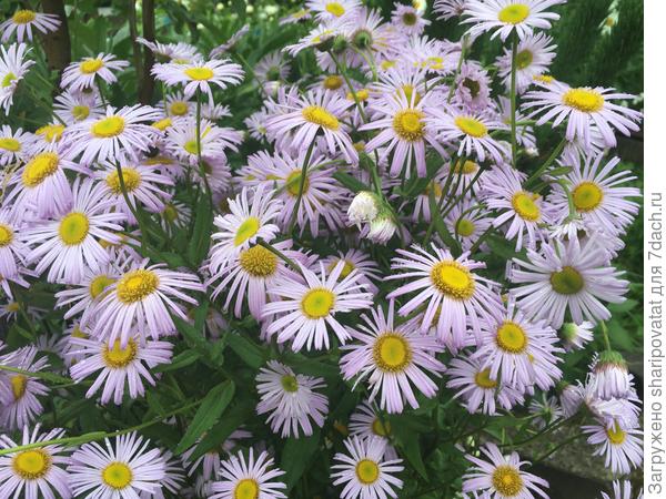 П о з д р а в л я ю!